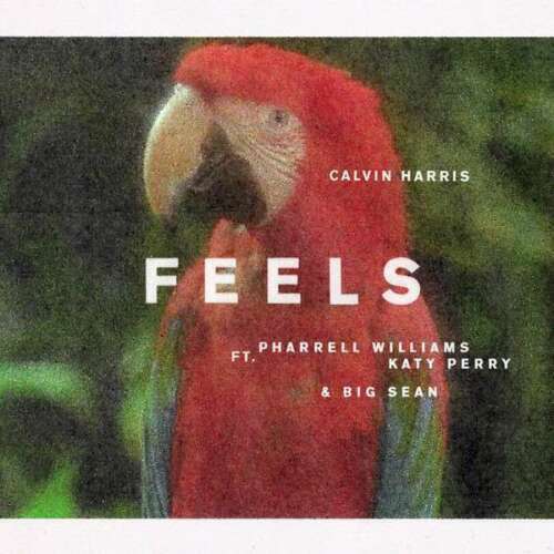 FEELS [SINGLE] NEW VINYL