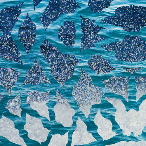 El Nino & The Southern Oscillations (10, Limited Edition) [New Vinyl LP] 10",