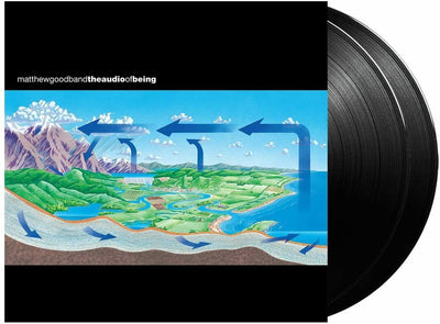 Matthew Good Band ‎– The Audio Of Being VINYL LP RECORD