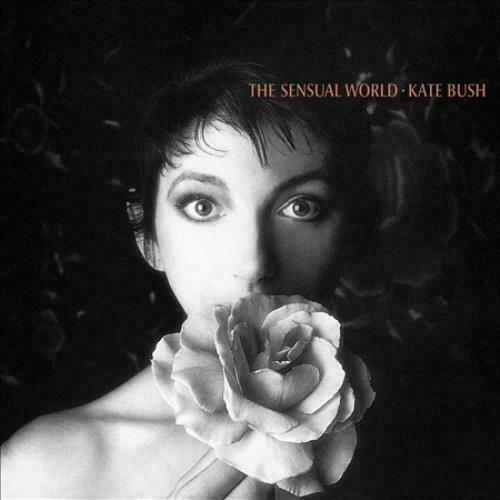 THE SENSUAL WORLD (2018 REMASTER) NEW VINYL RECORD
